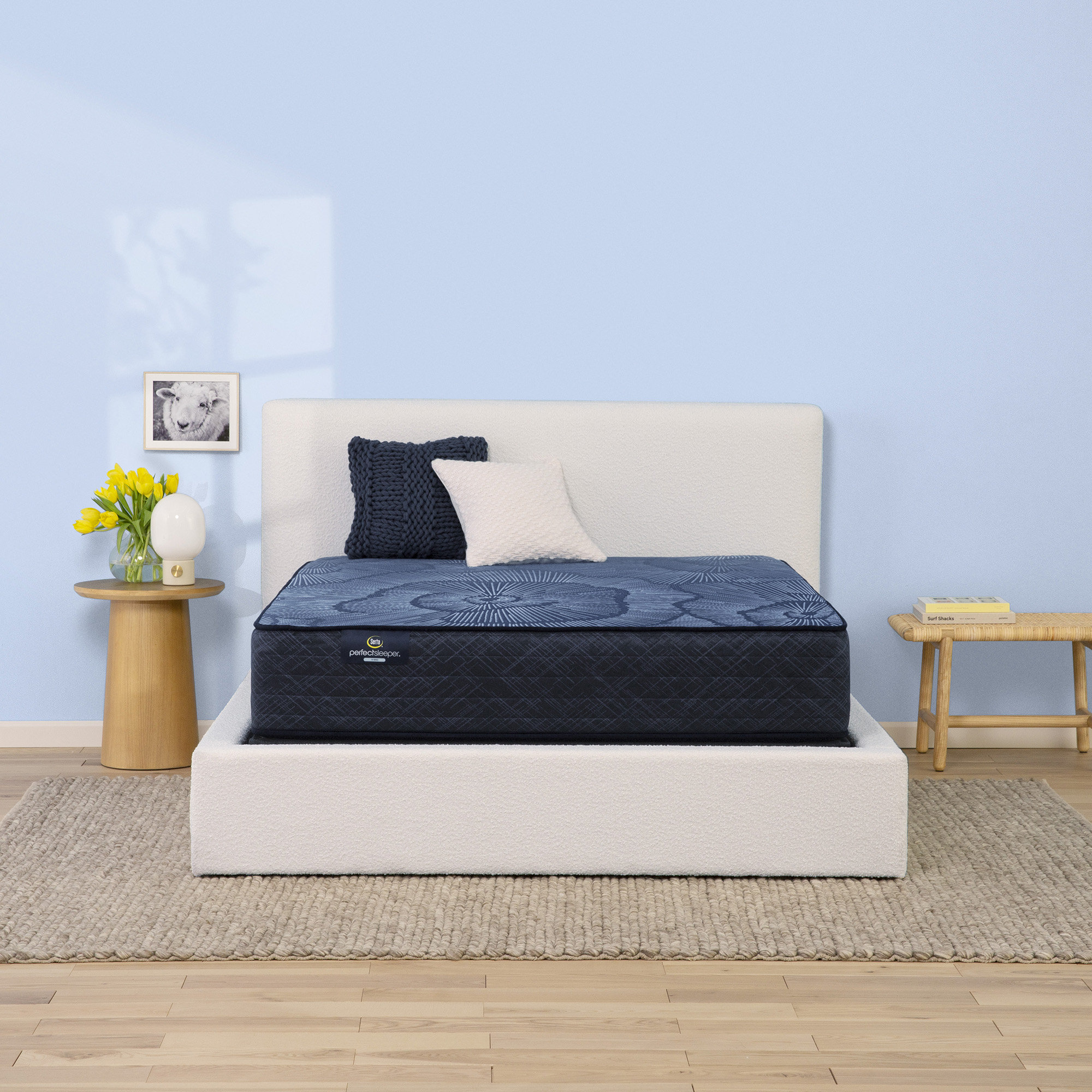 Serta Perfect Sleeper Pacific Peace 12